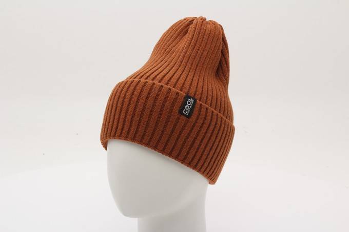 Шапка демисезонная